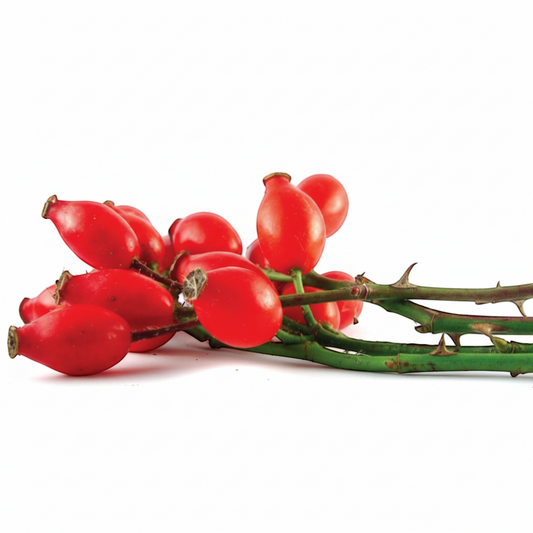 Benefits of Rosehip Seed Extract & Oil