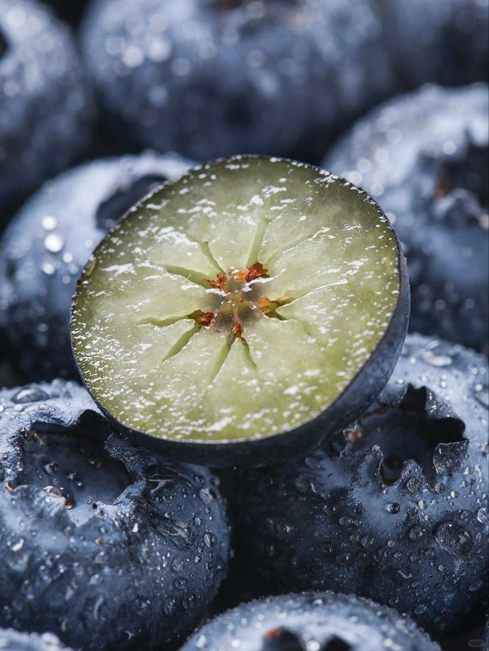 Blueberry Lip Balm packaging detail organic lip moisturizer with vitamin E