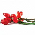 Made from Earth Rosehip + Hibiscus Facial Serum, a calming and moisturizing serum for soft, smooth, sensitive skin.